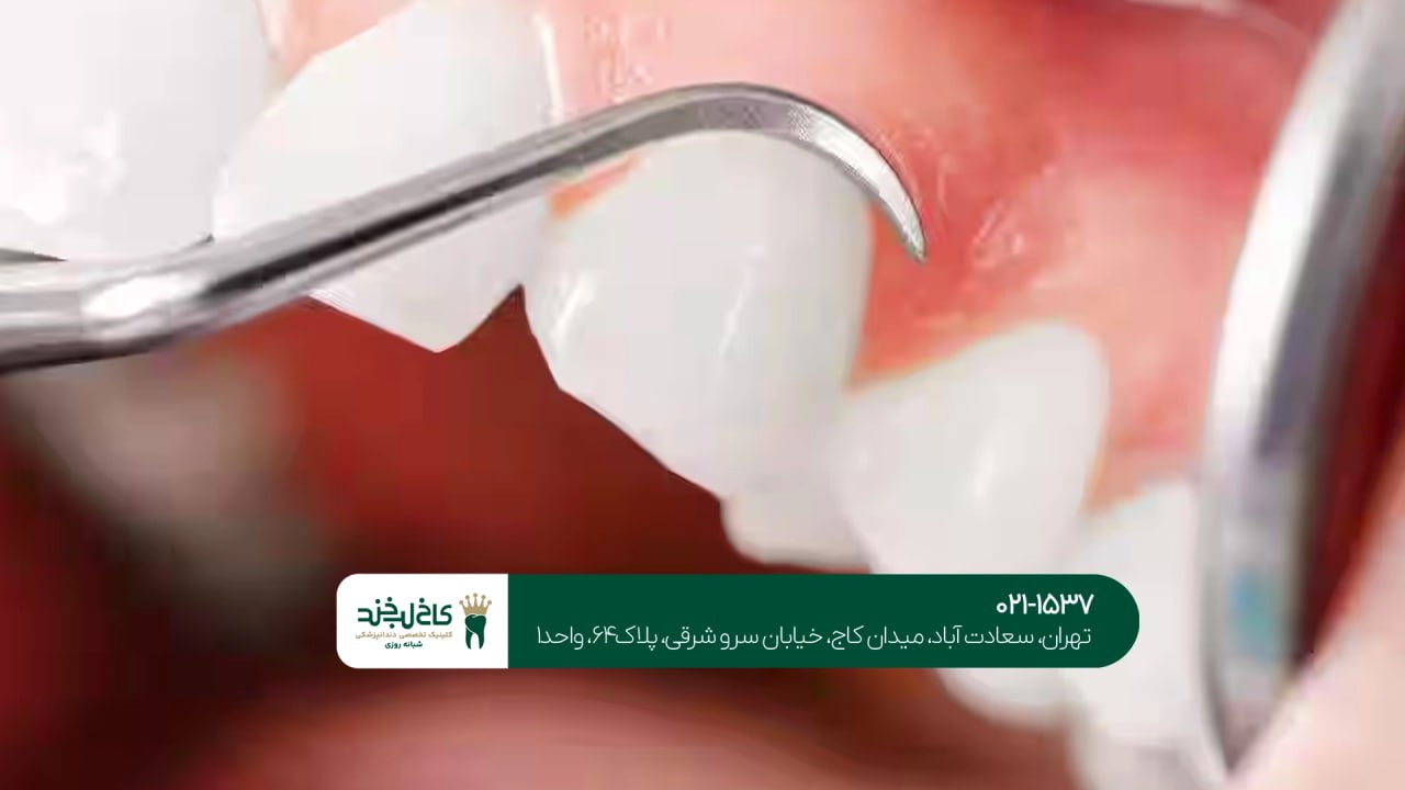 دندانپزشکی تخصصی دندانپزشکی تخصصی