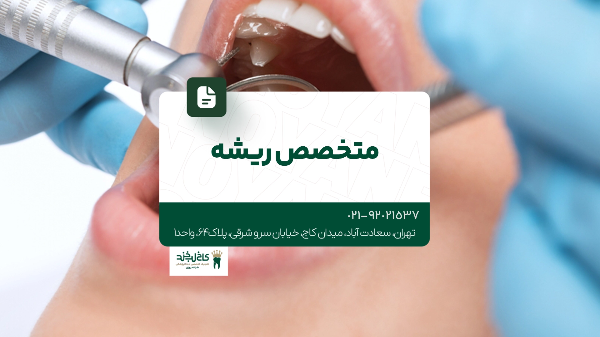 متخصص ریشه