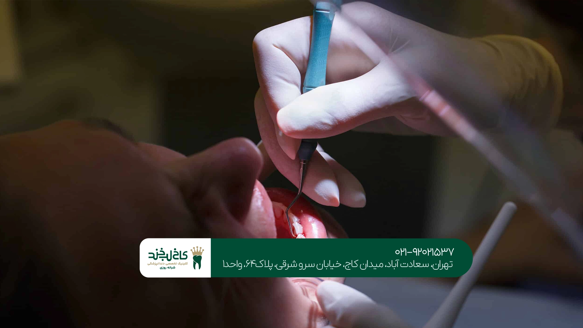 دندانپزشکی تخصصی دندانپزشکی تخصصی